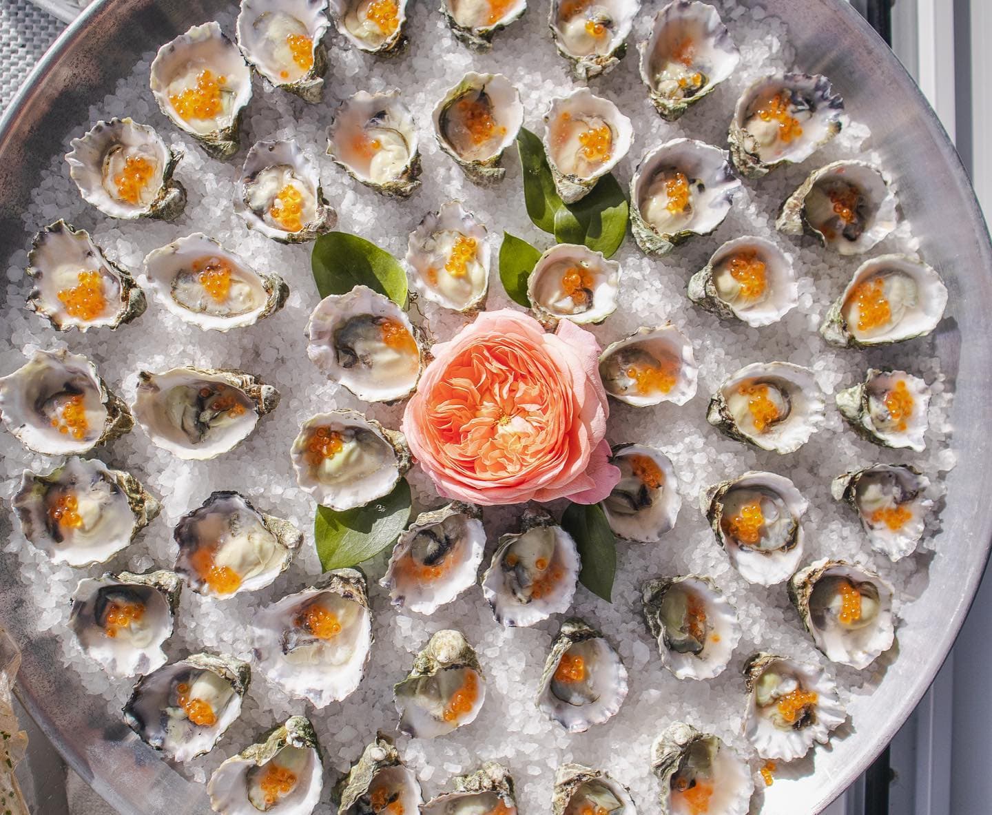 A round platter of oysters on ice around an orange rose